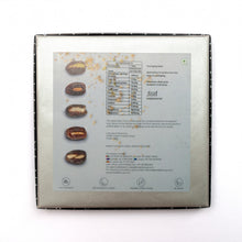 Load image into Gallery viewer, Premium Dry Fruit Filled Organic Dates Box - 16pcs