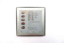 Load image into Gallery viewer, Premium Dry Fruit Filled Dates -( 25 Pcs Gift Box)
